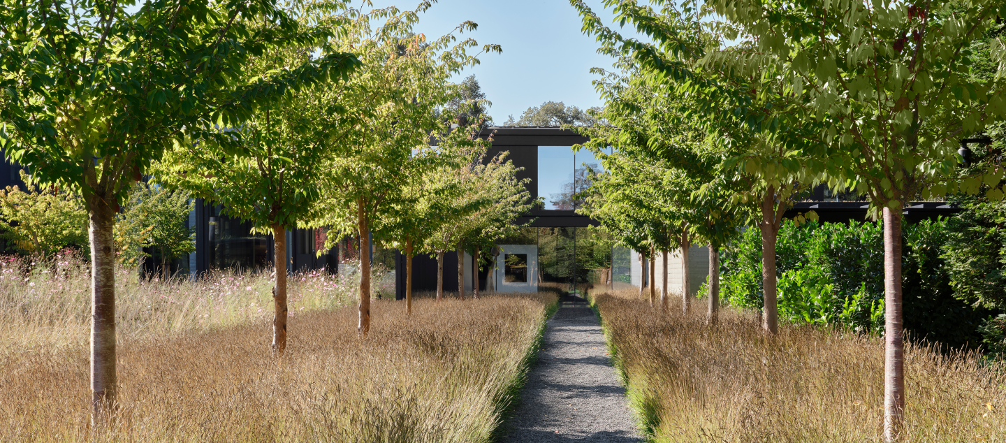 Silicon Valley Residence, built by Dowbuilt in Northern California